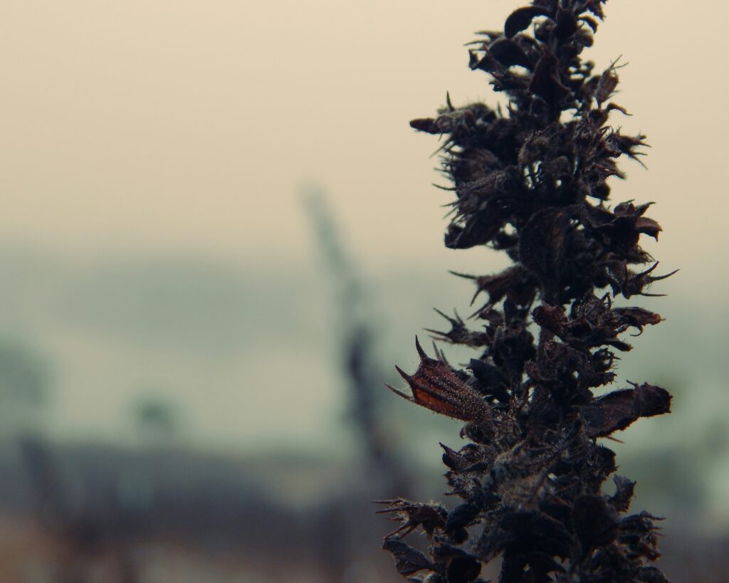 Hello World Featured Image